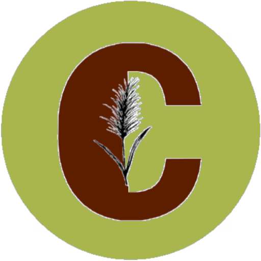 Cortaderas